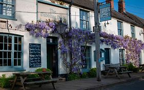 The Dabbling Duck